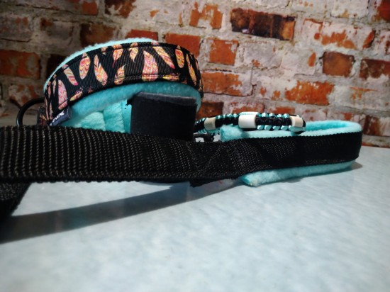 12799541147671362900237955751558764829229673o