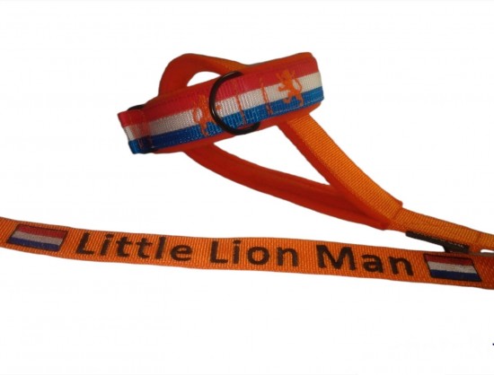 Whatsapp image 2022 07 10 at 92625 pm 3