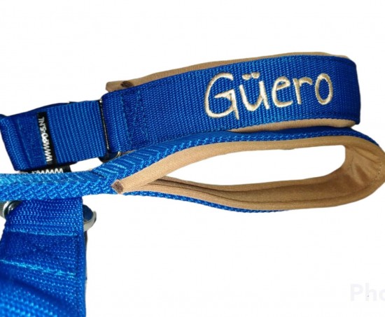 Whatsapp image 2022 07 10 at 92701 pm 1