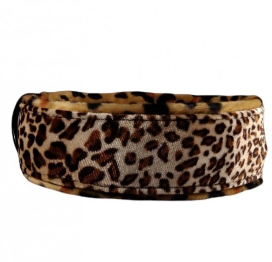 Whatsapp image 2022 07 10 at 92815 pm 1