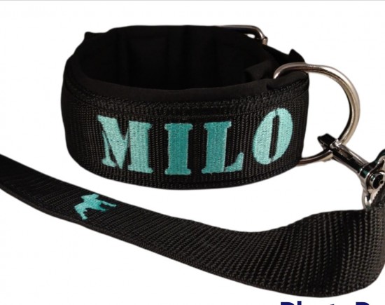 Whatsapp image 2022 07 10 at 92905 pm