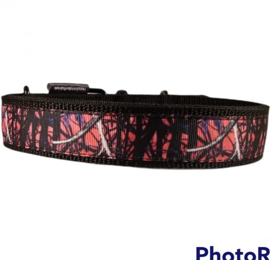 Whatsapp image 2022 07 10 at 92936 pm 1